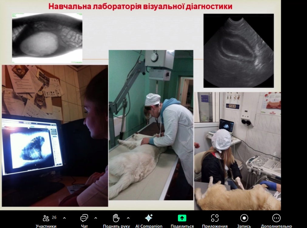 Изображение выглядит как текст, компьютер, в помещении, компьютерный монитор</p>
<p>Содержимое, созданное искусственным интеллектом, может быть неверным.