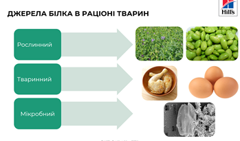 Изображение выглядит как текст, еда, Продовольственная группа, снимок экрана</p>
<p>Содержимое, созданное искусственным интеллектом, может быть неверным.