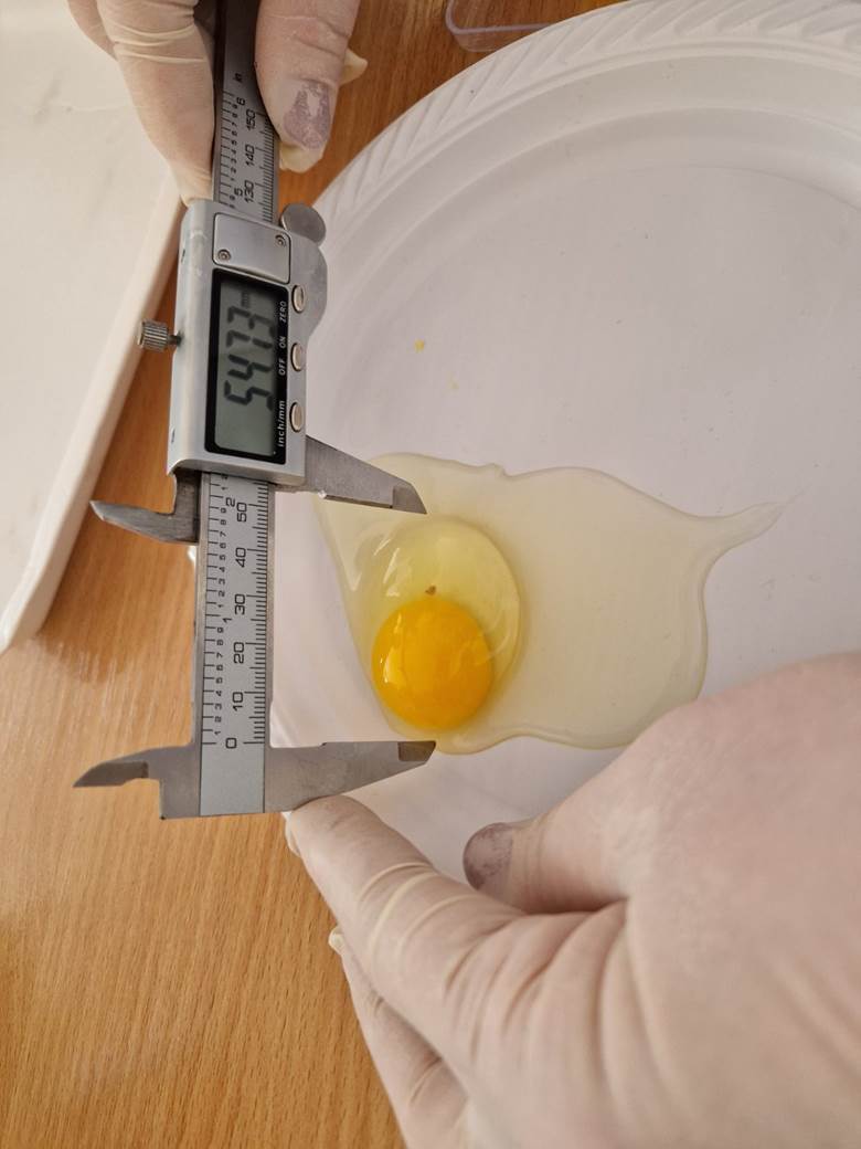 Зображення, що містить у приміщенні, інструмент, особа, їжа</p>
<p>Вміст на основі ШІ може бути неправильним.