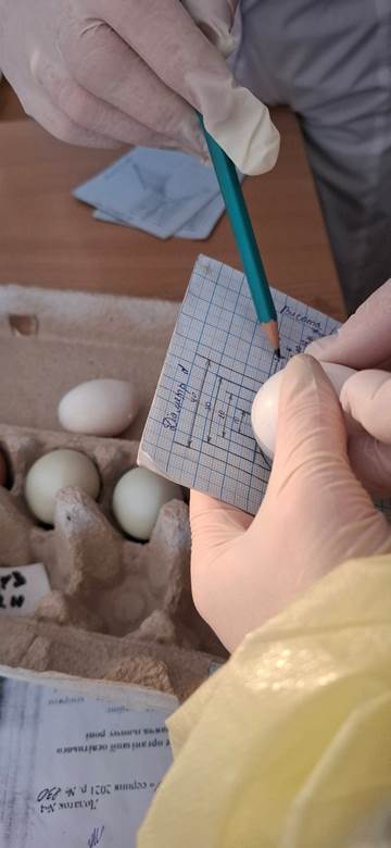 Зображення, що містить текст, особа, канцелярські товари й офісне обладнання, ніготь</p>
<p>Вміст на основі ШІ може бути неправильним.