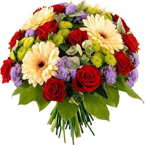 https://i.pinimg.com/736x/1e/df/b6/1edfb627474cfaa621df01247d1420f0.jpg