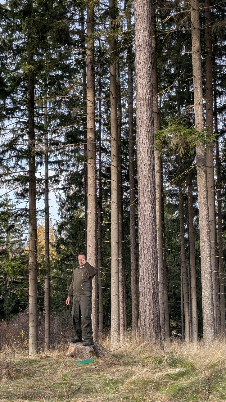 Зображення, що містить просто неба, рослина, трава, дерево</p>
<p>Вміст на основі ШІ може бути неправильним.