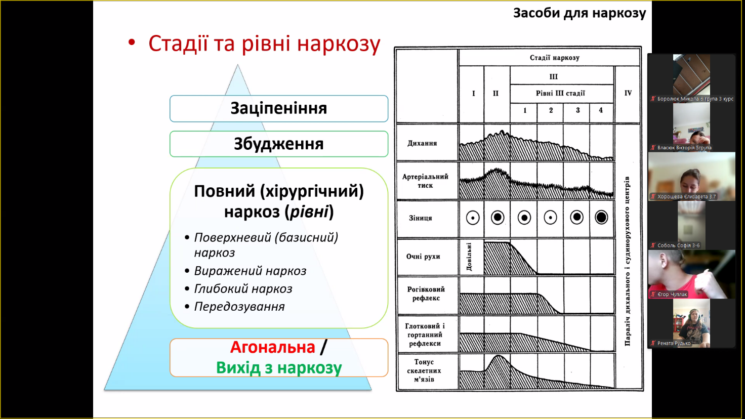 Зображення, що містить текст, знімок екрана, дизайн</p>
<p>Вміст на основі ШІ може бути неправильним.