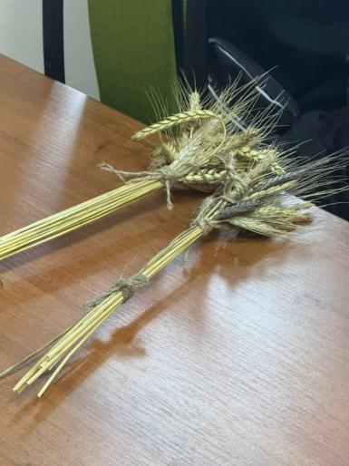 photo_5379891381347752309_y