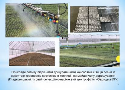 https://nubip.edu.ua/sites/default/files/u186/slayd2.jpg
