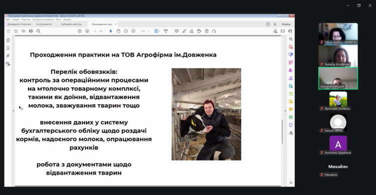 звіт13