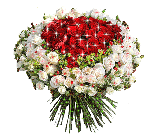 Огромный букет роз